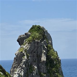 猿岩